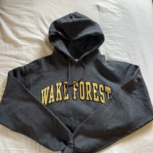 Champion Wake Forest Hoodie